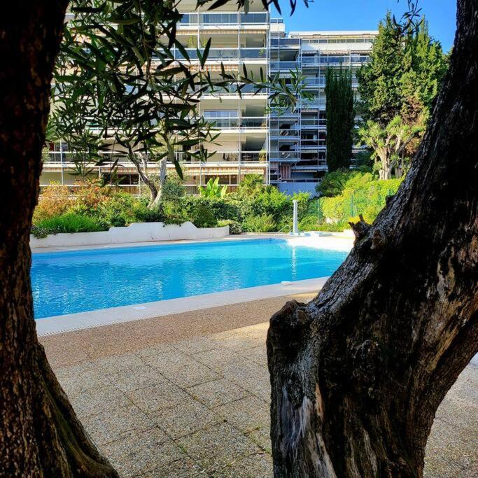 Grand Studio Localisation Ideale Antibes Bagian luar foto